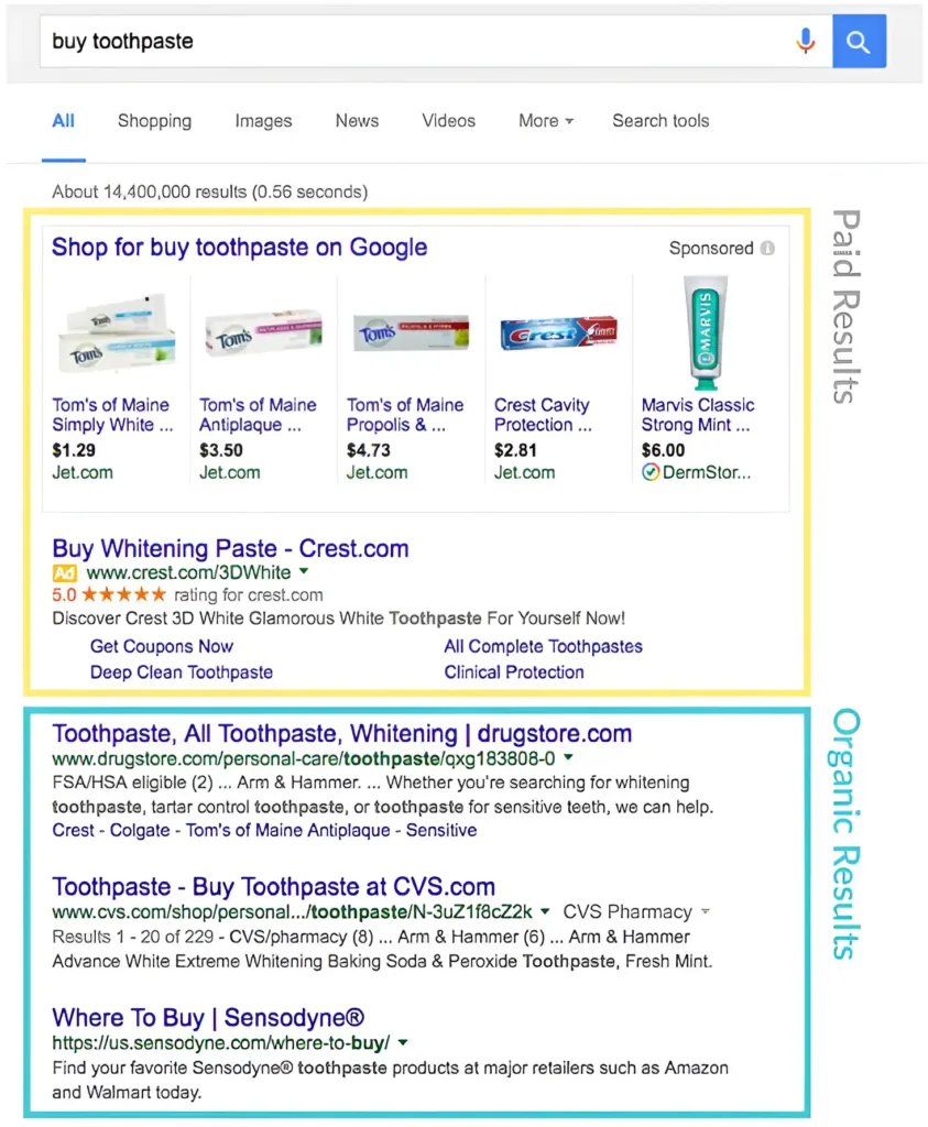 paid and organic search results